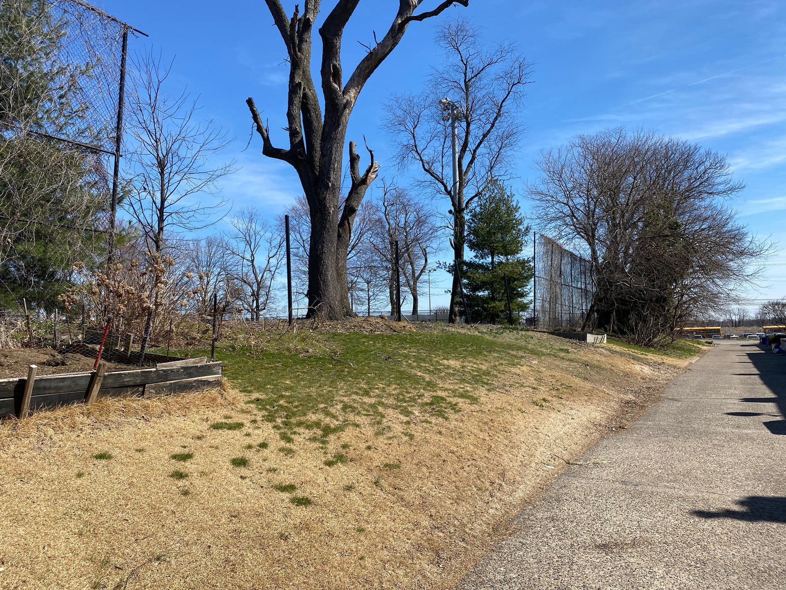 Photographic documentation of the work as submitted to the city's 311 record.