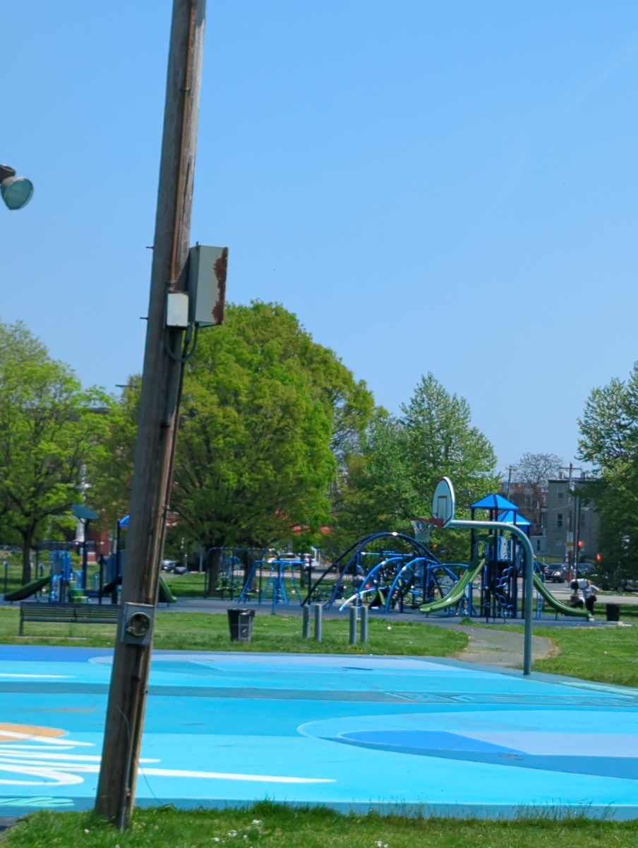 Photographic documentation of the work as submitted to the city's 311 record.