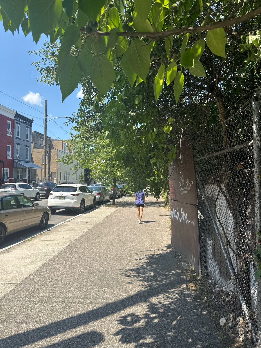 Photographic documentation of the work as submitted to the city's 311 record.