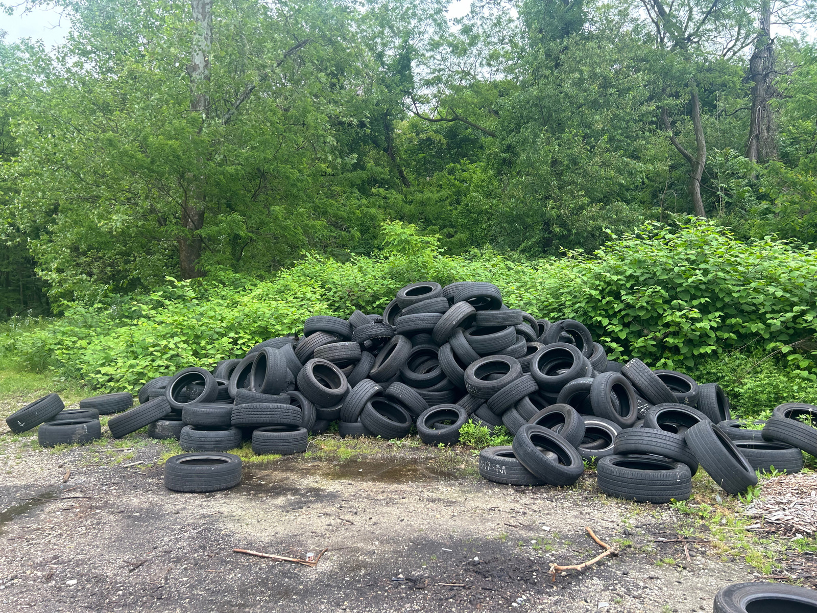 Photographic documentation of the work as submitted to the city's 311 record.