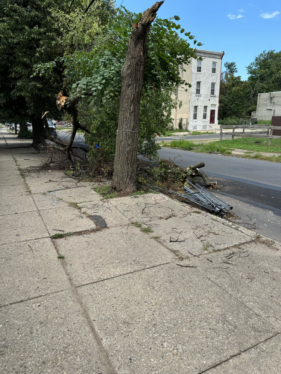 Photographic documentation of the work as submitted to the city's 311 record.