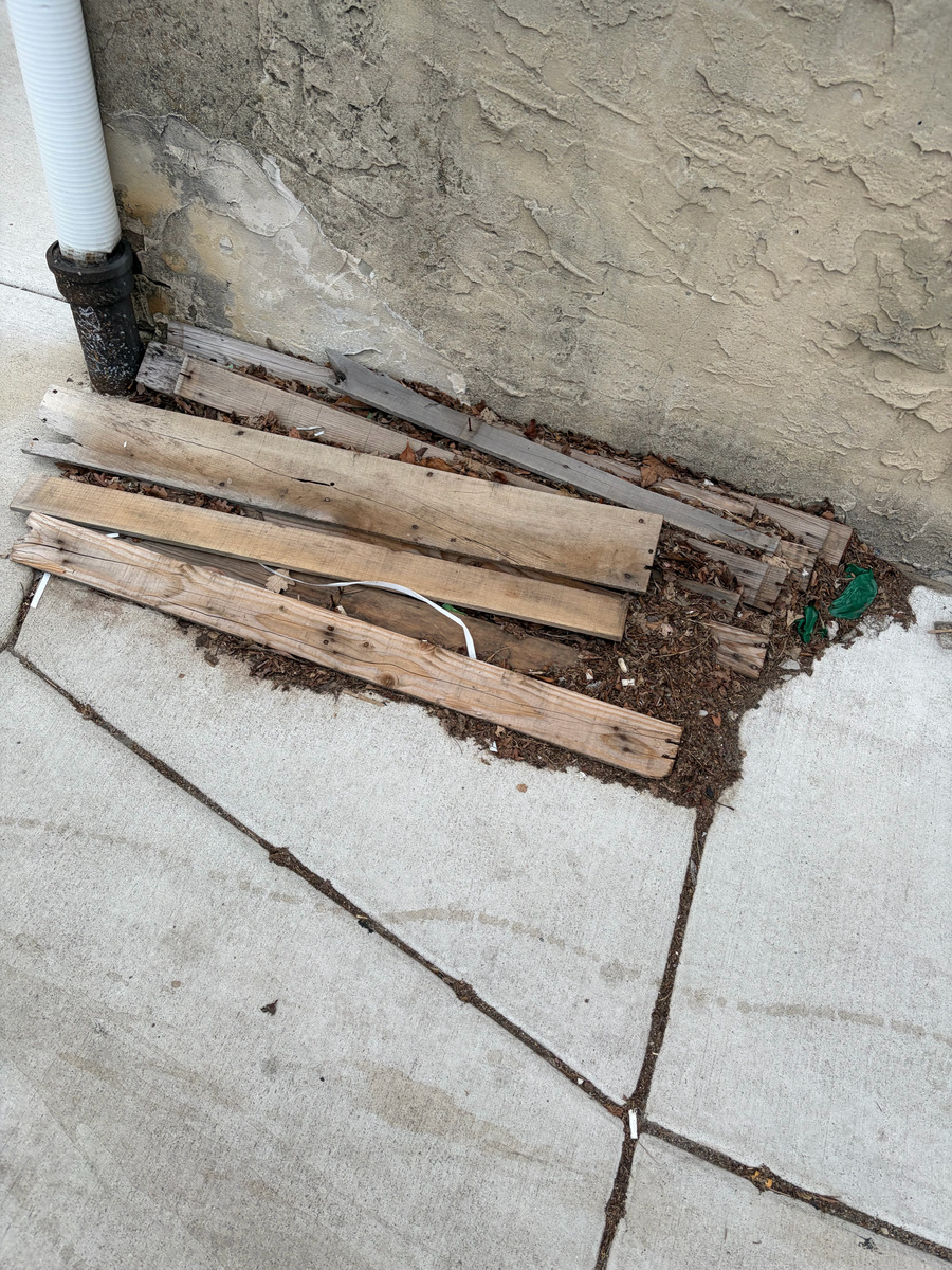 Photographic documentation of the work as submitted to the city's 311 record.