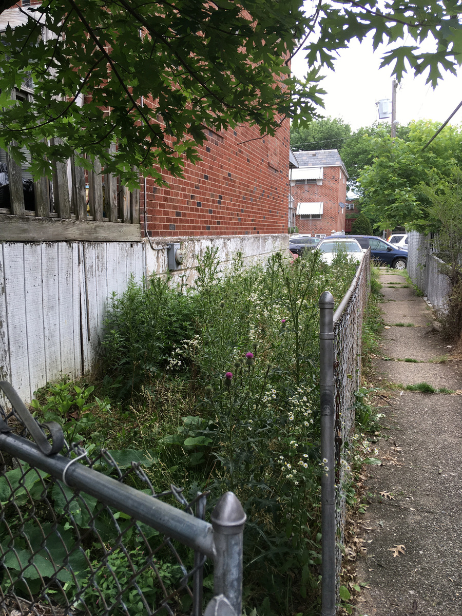 Photographic documentation of the work as submitted to the city's 311 record.