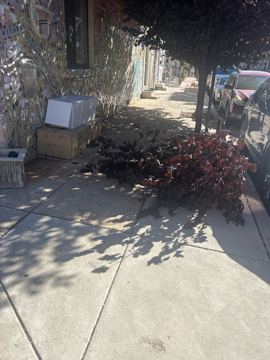 Photographic documentation of the work as submitted to the city's 311 record.