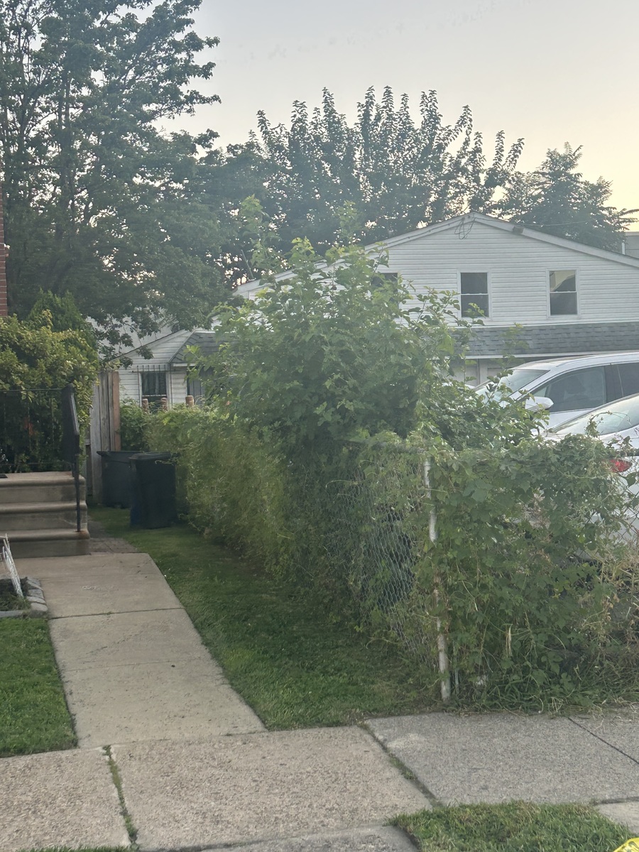 Photographic documentation of the work as submitted to the city's 311 record.