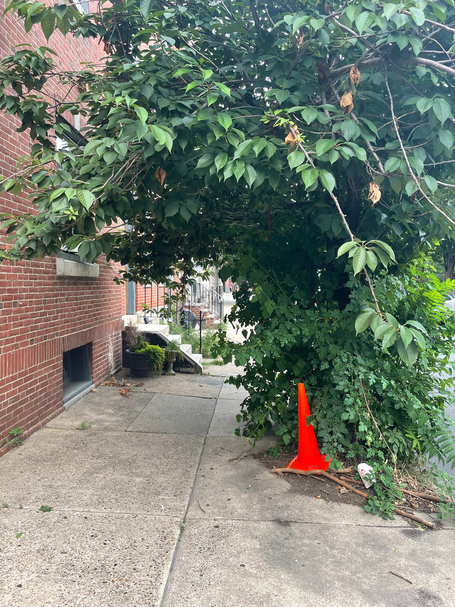 Photographic documentation of the work as submitted to the city's 311 record.
