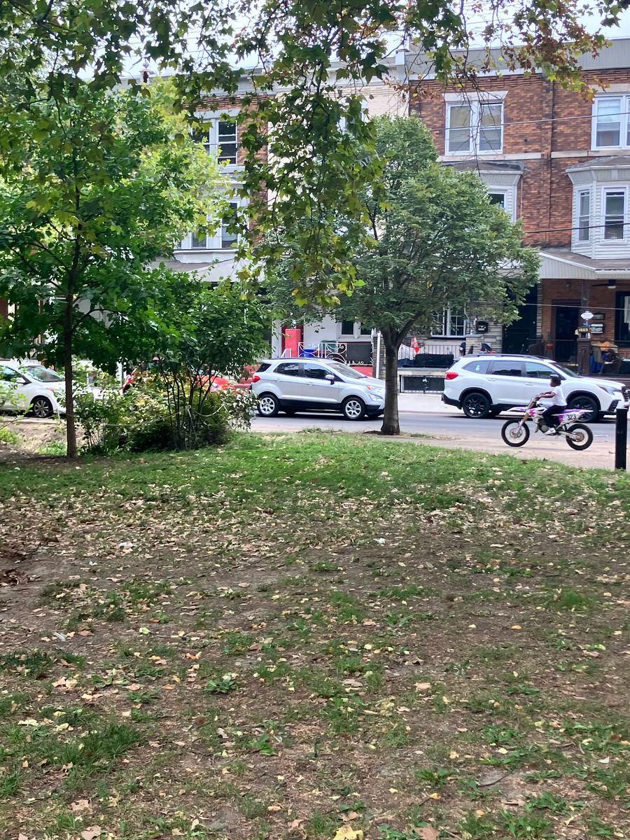 Photographic documentation of the work as submitted to the city's 311 record.
