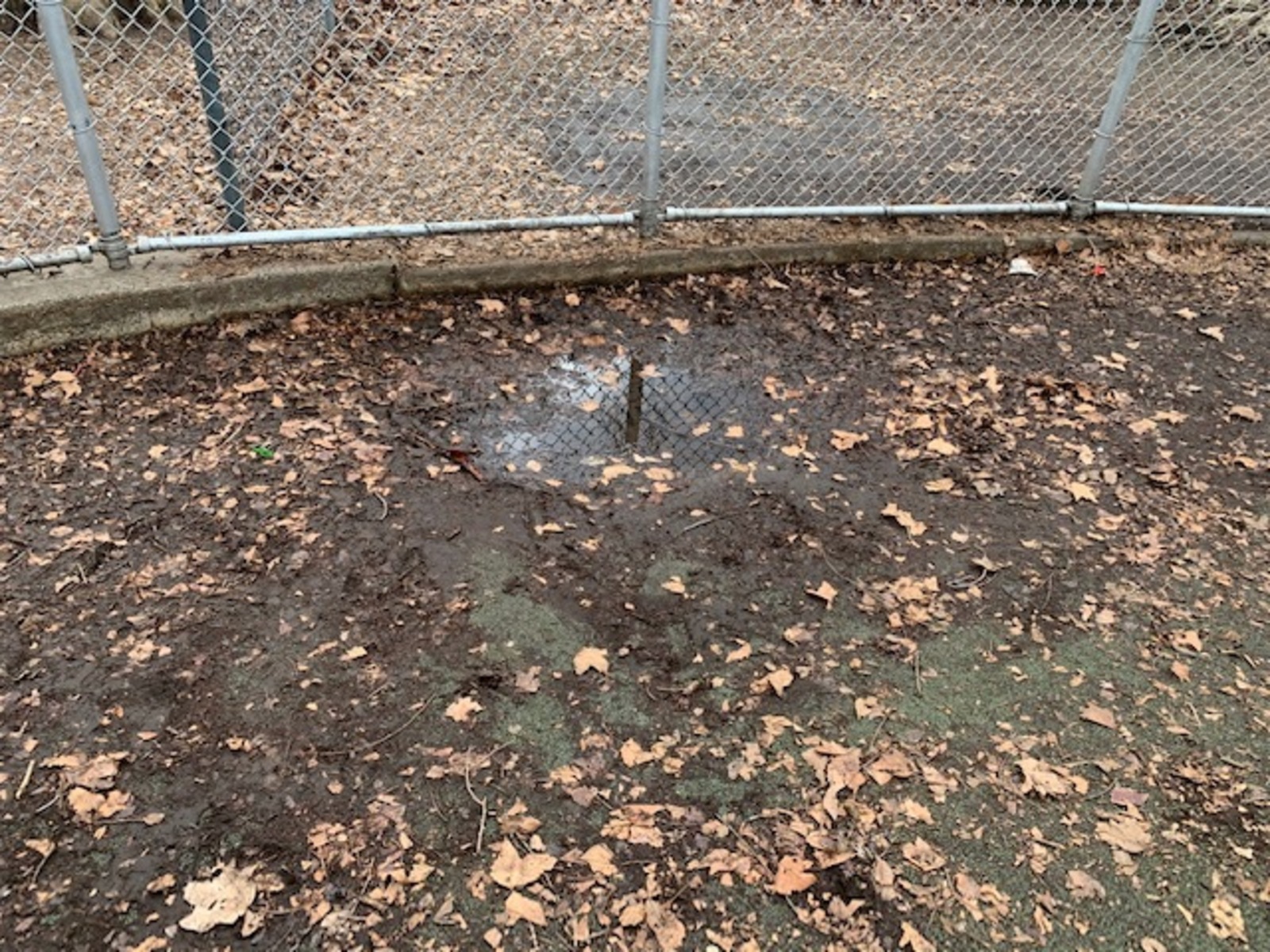 Photographic documentation of the work as submitted to the city's 311 record.