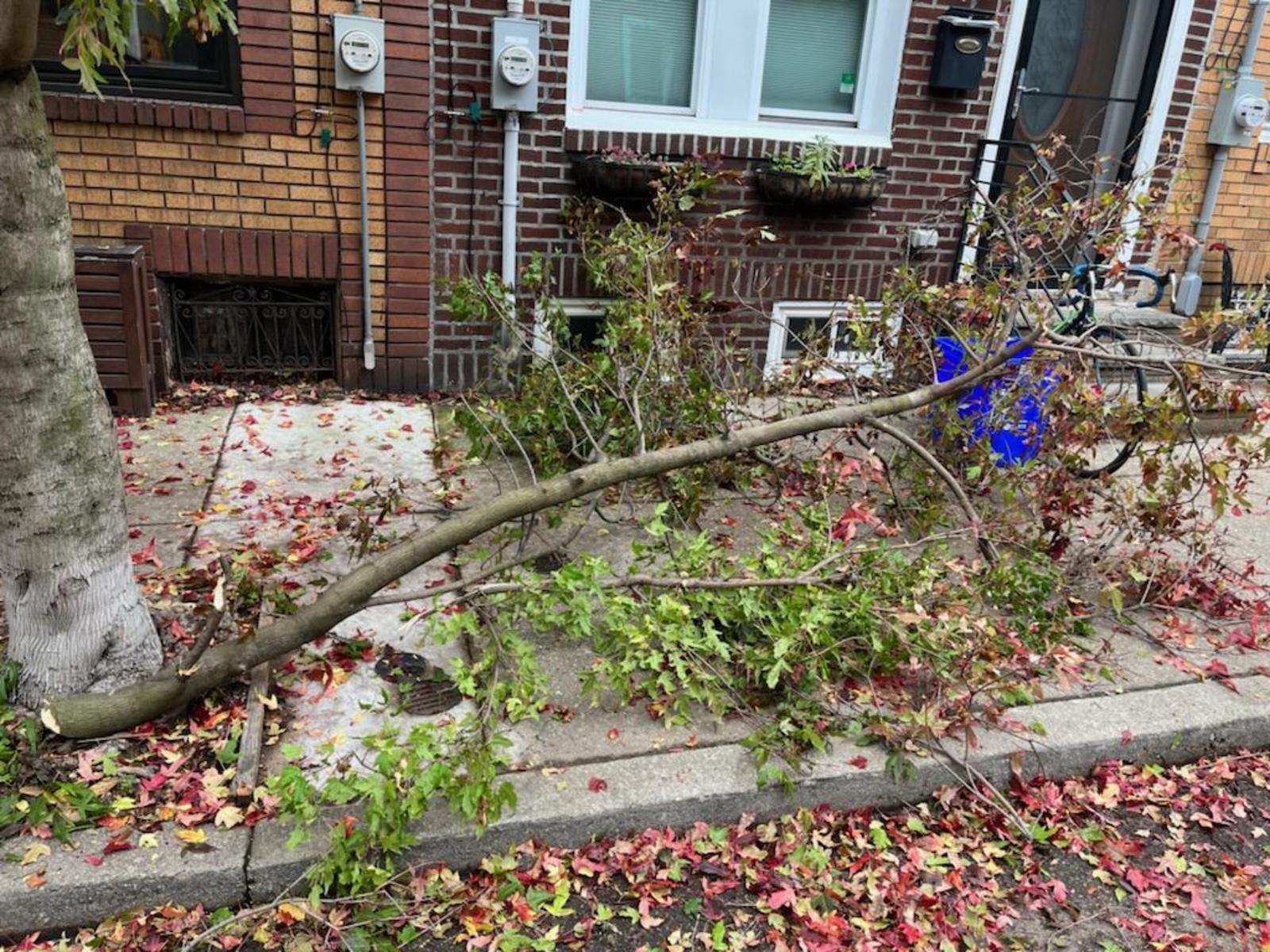 Photographic documentation of the work as submitted to the city's 311 record.