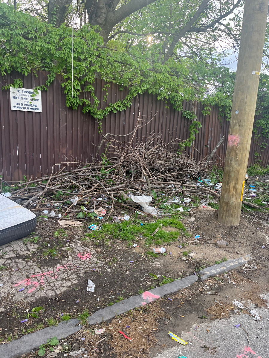 Photographic documentation of the work as submitted to the city's 311 record.