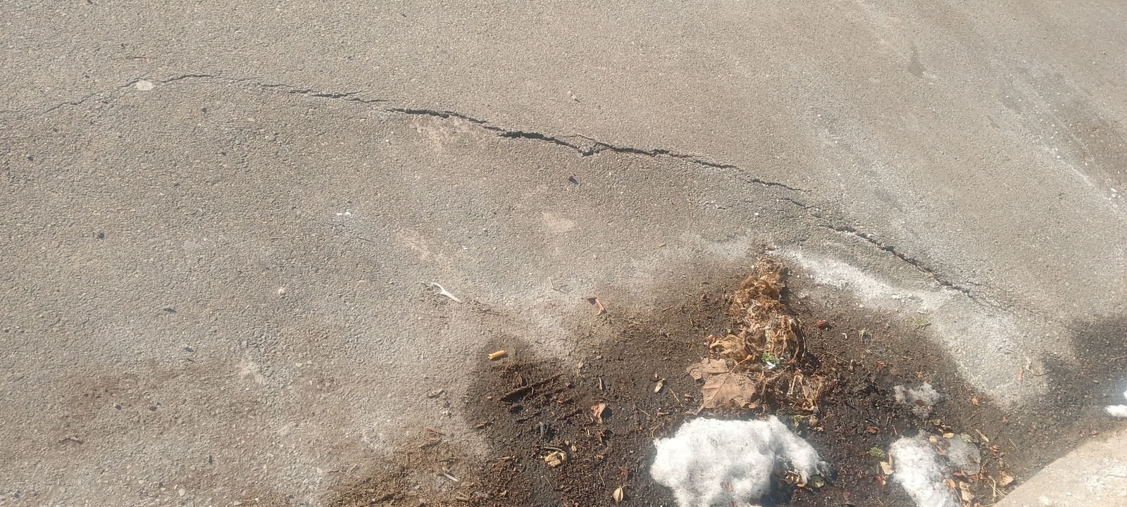 Photographic documentation of the work as submitted to the city's 311 record.