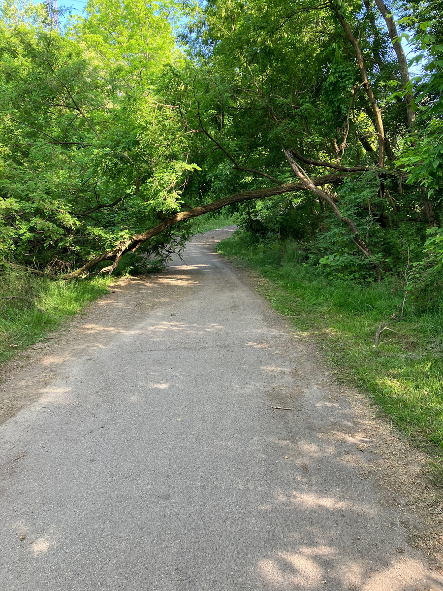 Photographic documentation of the work as submitted to the city's 311 record.