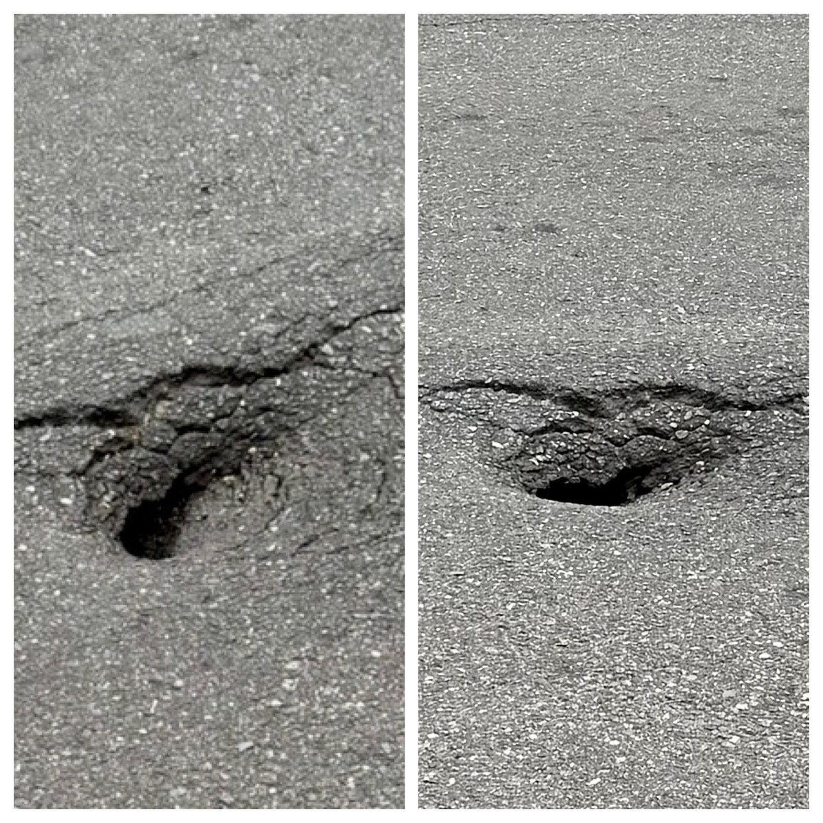 Photographic documentation of the work as submitted to the city's 311 record.