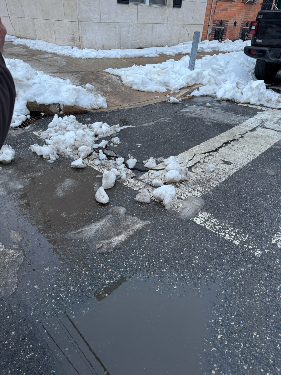Photographic documentation of the work as submitted to the city's 311 record.