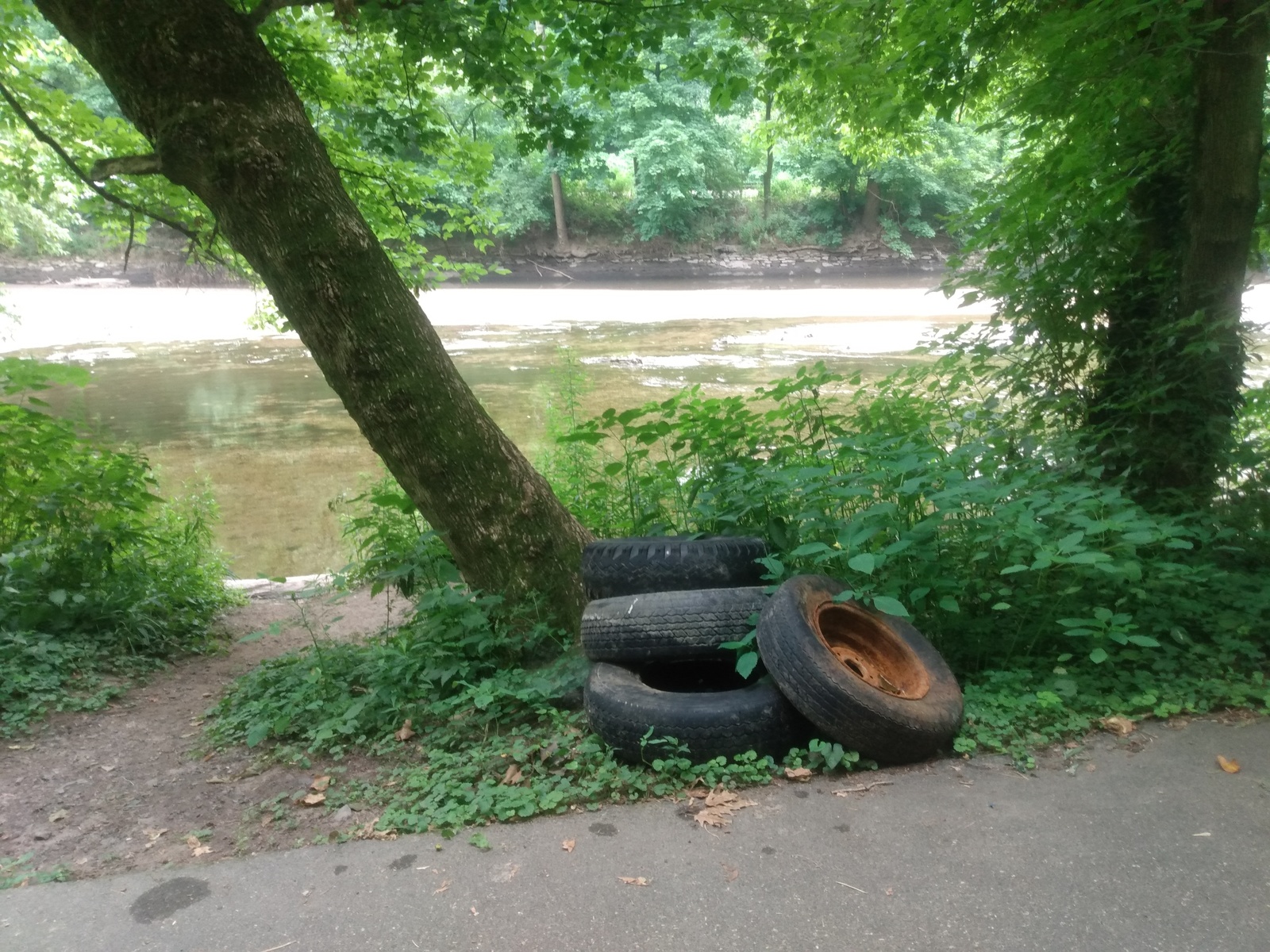 Photographic documentation of the work as submitted to the city's 311 record.