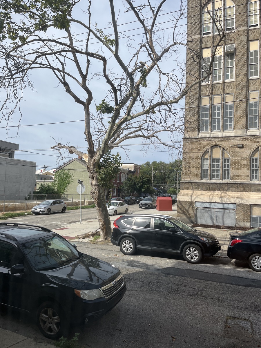 Photographic documentation of the work as submitted to the city's 311 record.