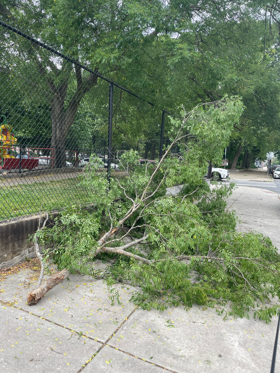 Photographic documentation of the work as submitted to the city's 311 record.