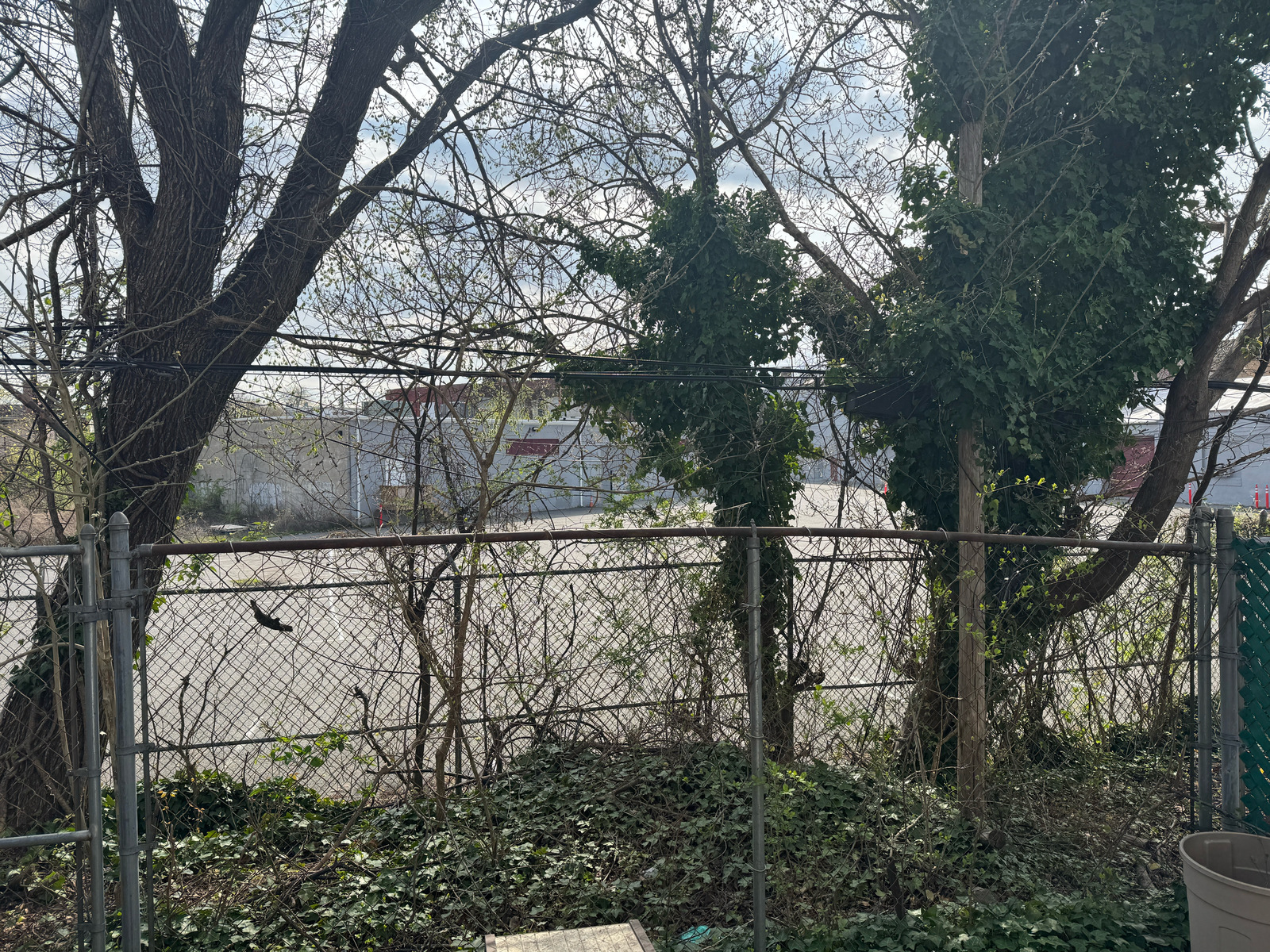 Photographic documentation of the work as submitted to the city's 311 record.