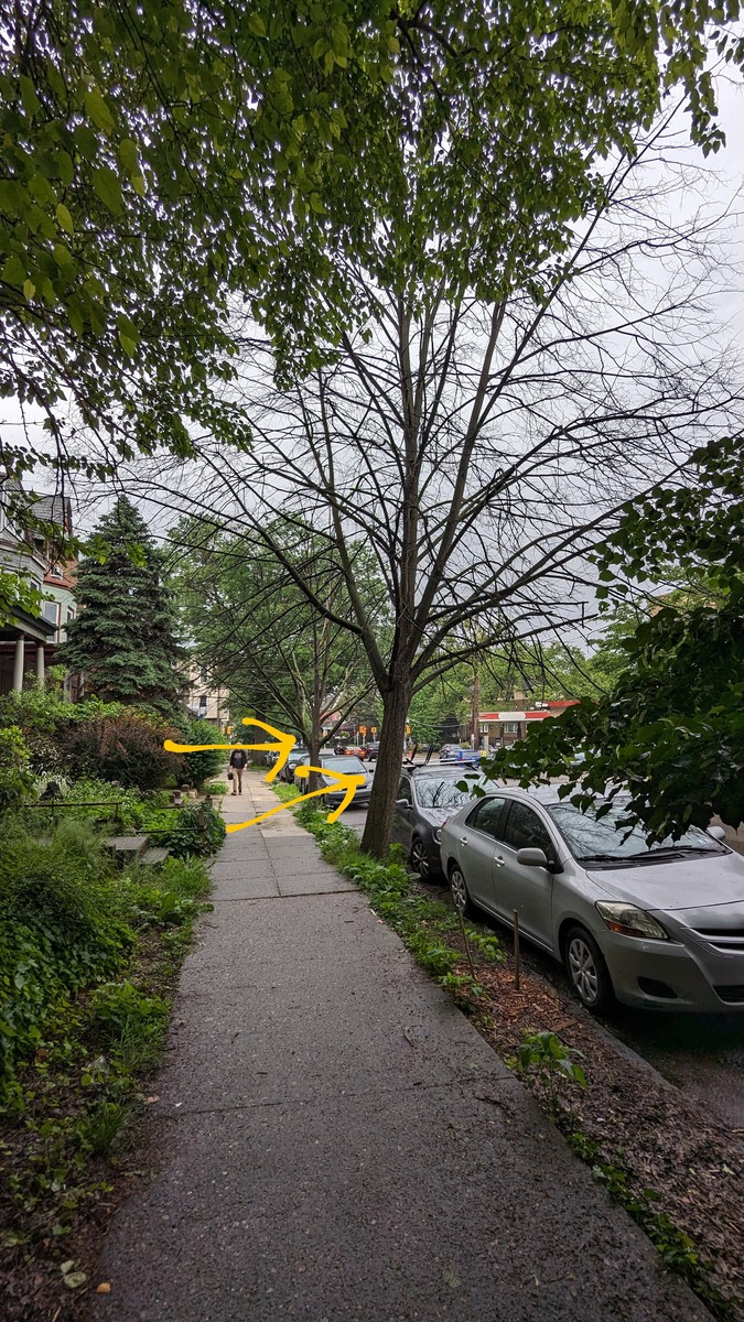 Photographic documentation of the work as submitted to the city's 311 record.