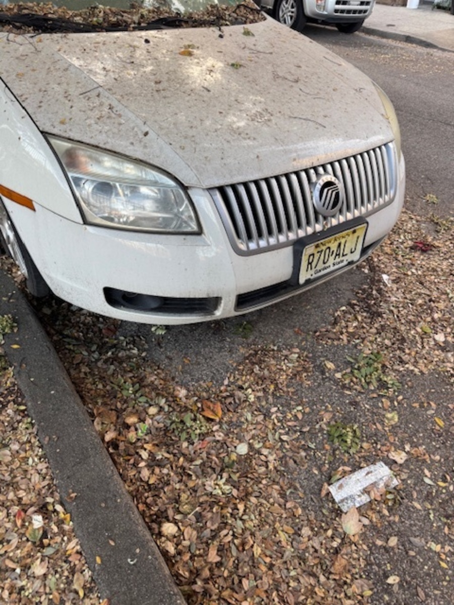 Photographic documentation of the work as submitted to the city's 311 record.