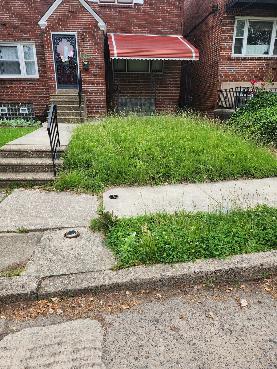 Photographic documentation of the work as submitted to the city's 311 record.