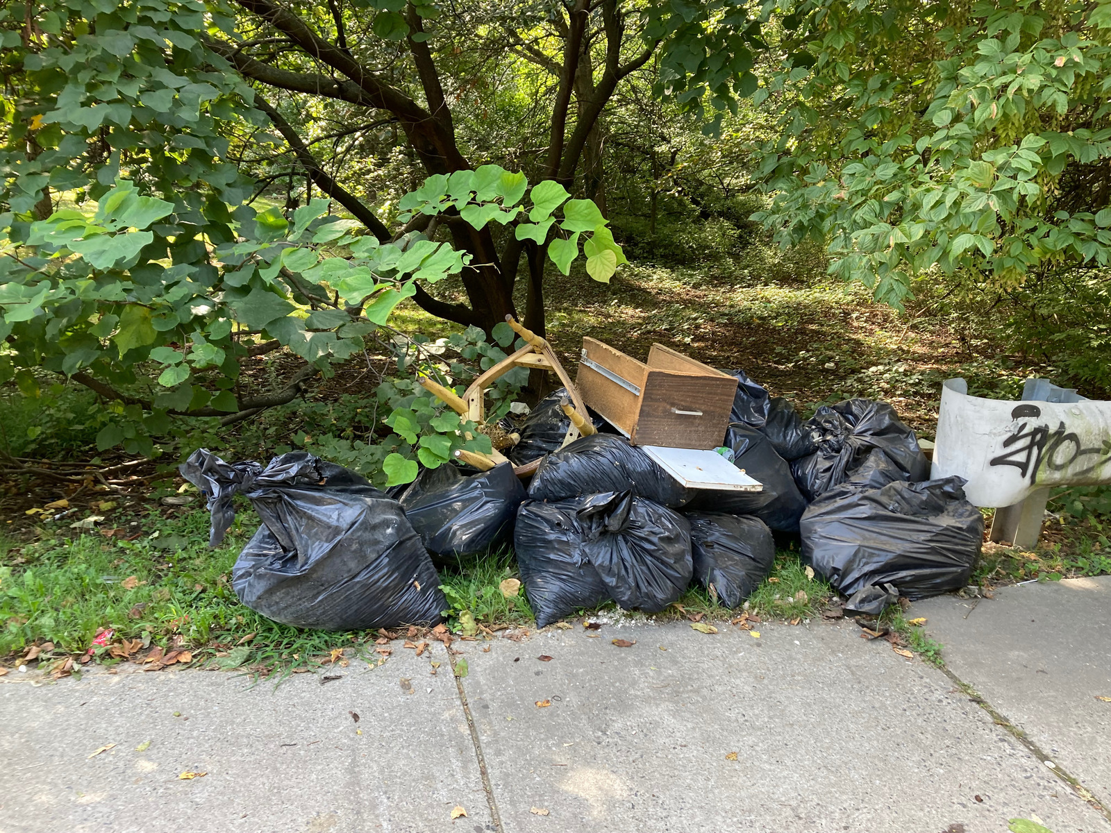 Photographic documentation of the work as submitted to the city's 311 record.