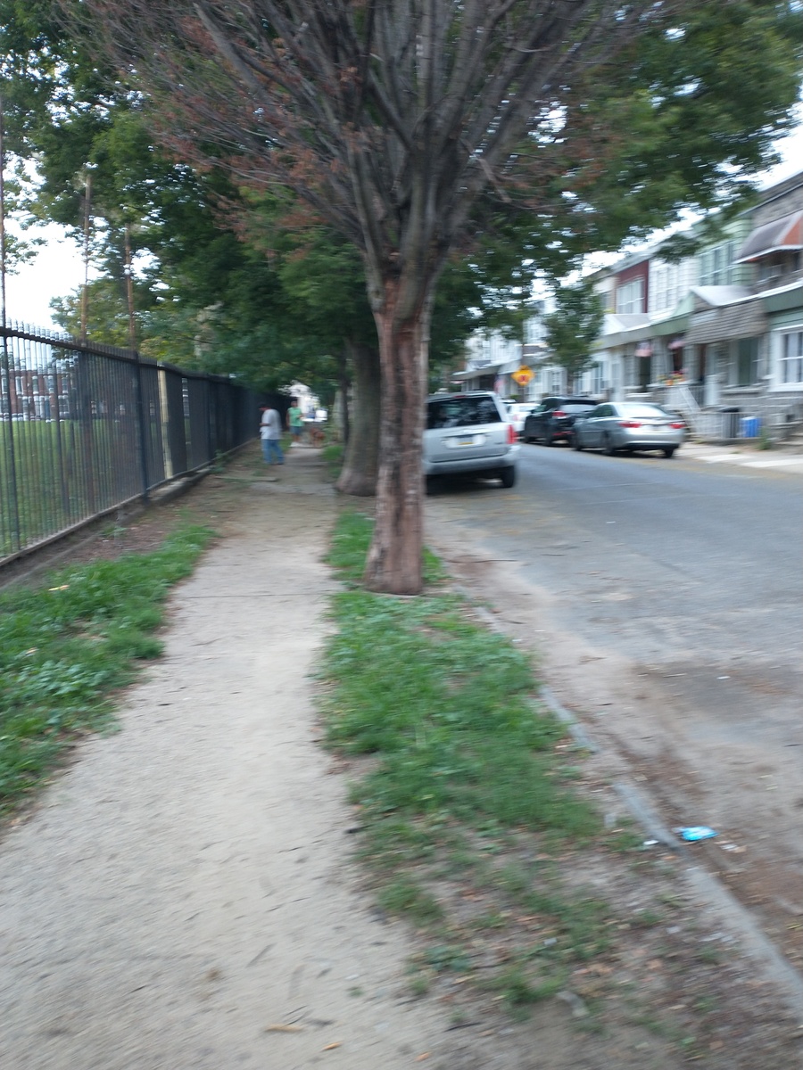 Photographic documentation of the work as submitted to the city's 311 record.