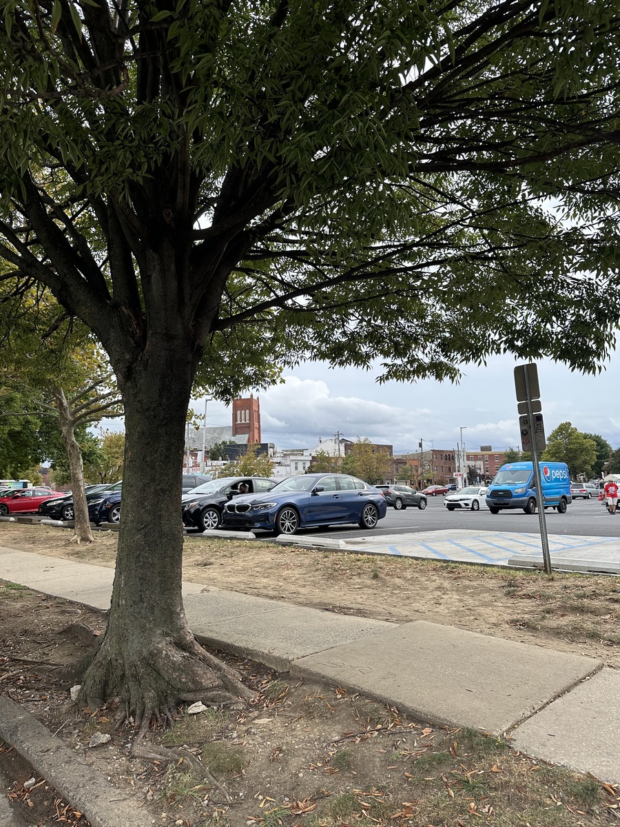 Photographic documentation of the work as submitted to the city's 311 record.