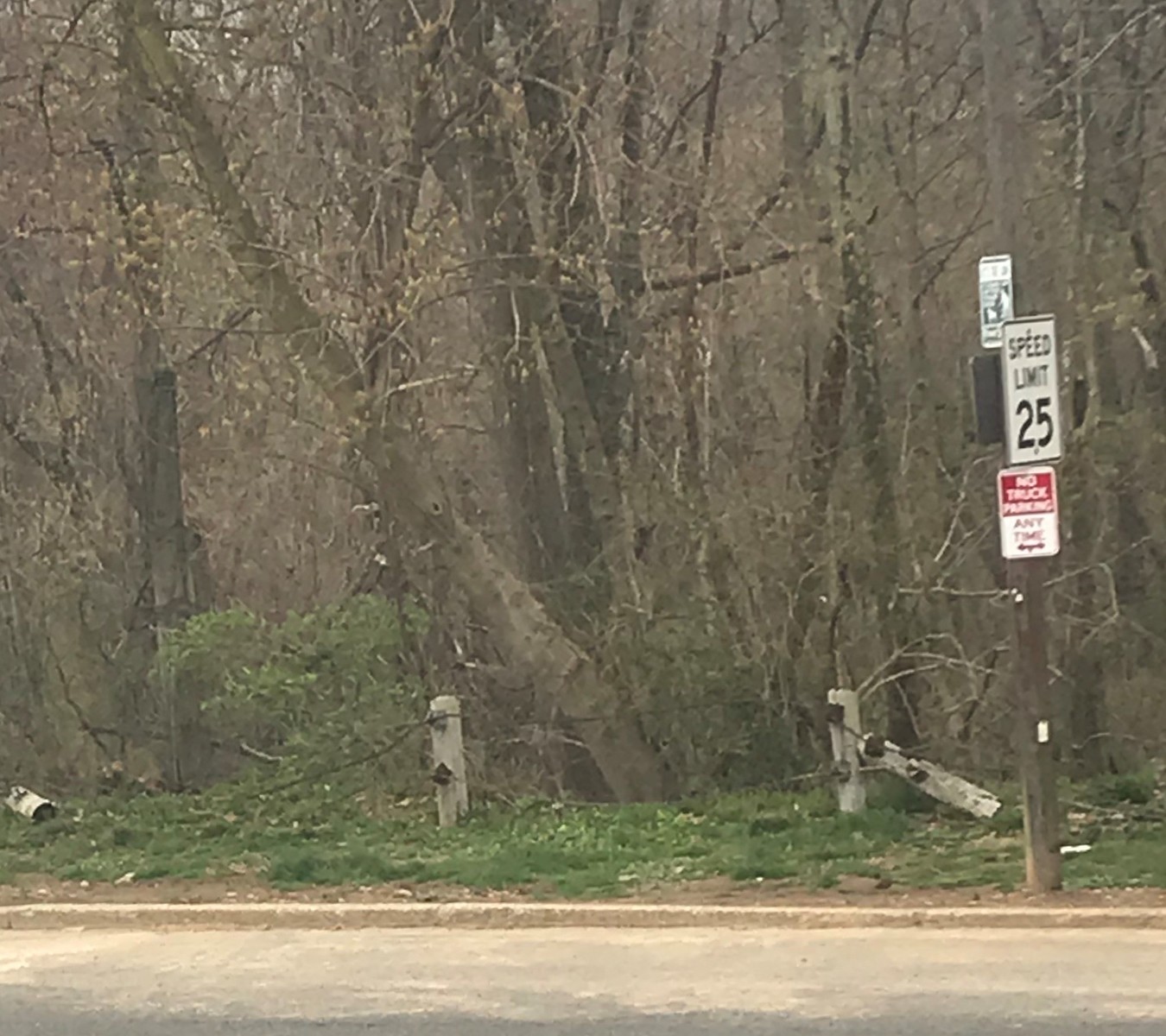 Photographic documentation of the work as submitted to the city's 311 record.