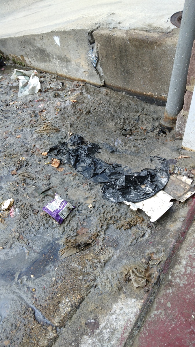 Photographic documentation of the work as submitted to the city's 311 record.