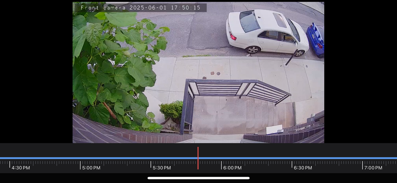 Photographic documentation of the work as submitted to the city's 311 record.