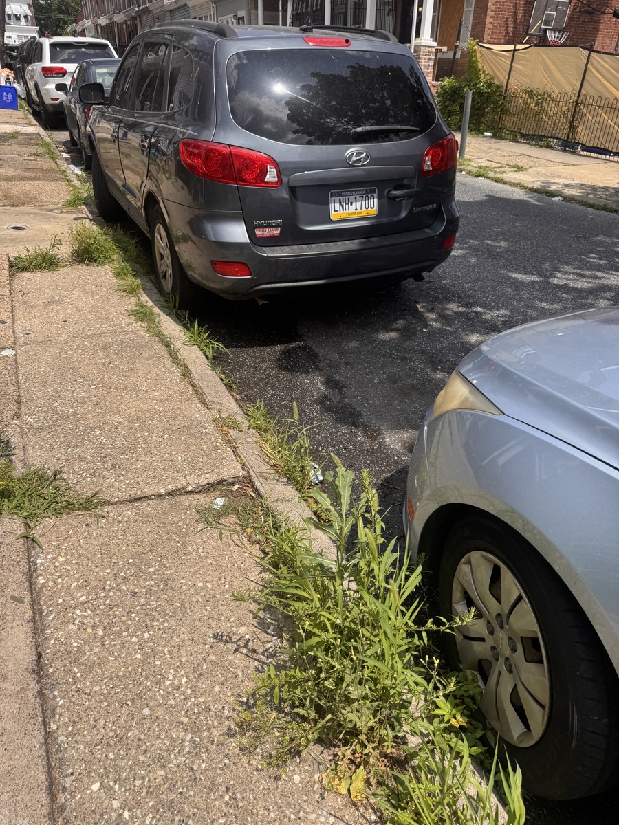 Photographic documentation of the work as submitted to the city's 311 record.