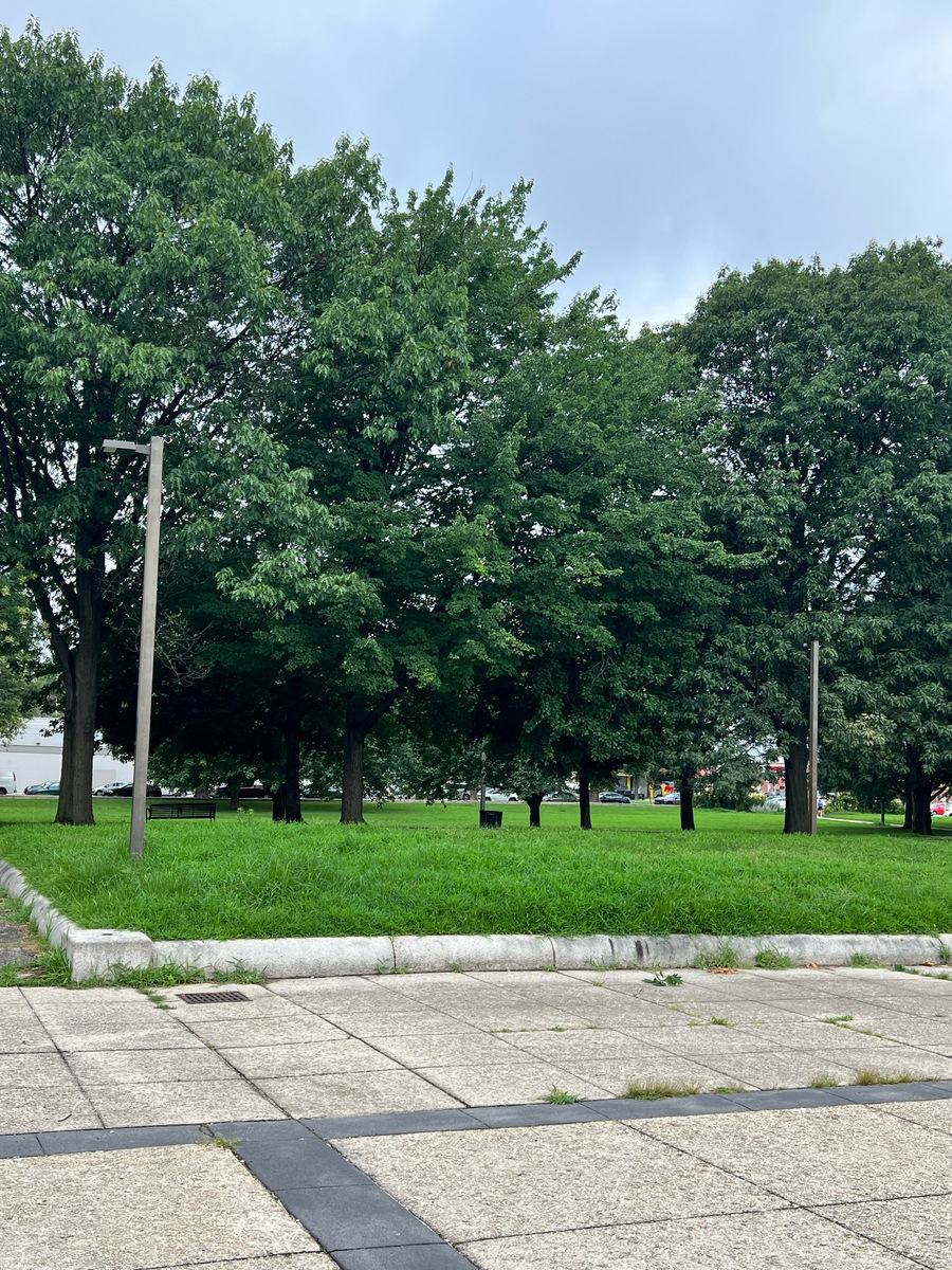 Photographic documentation of the work as submitted to the city's 311 record.