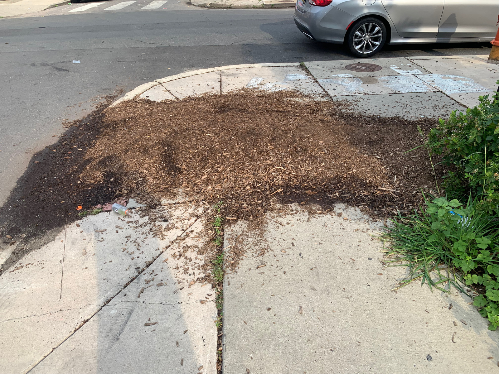 Photographic documentation of the work as submitted to the city's 311 record.