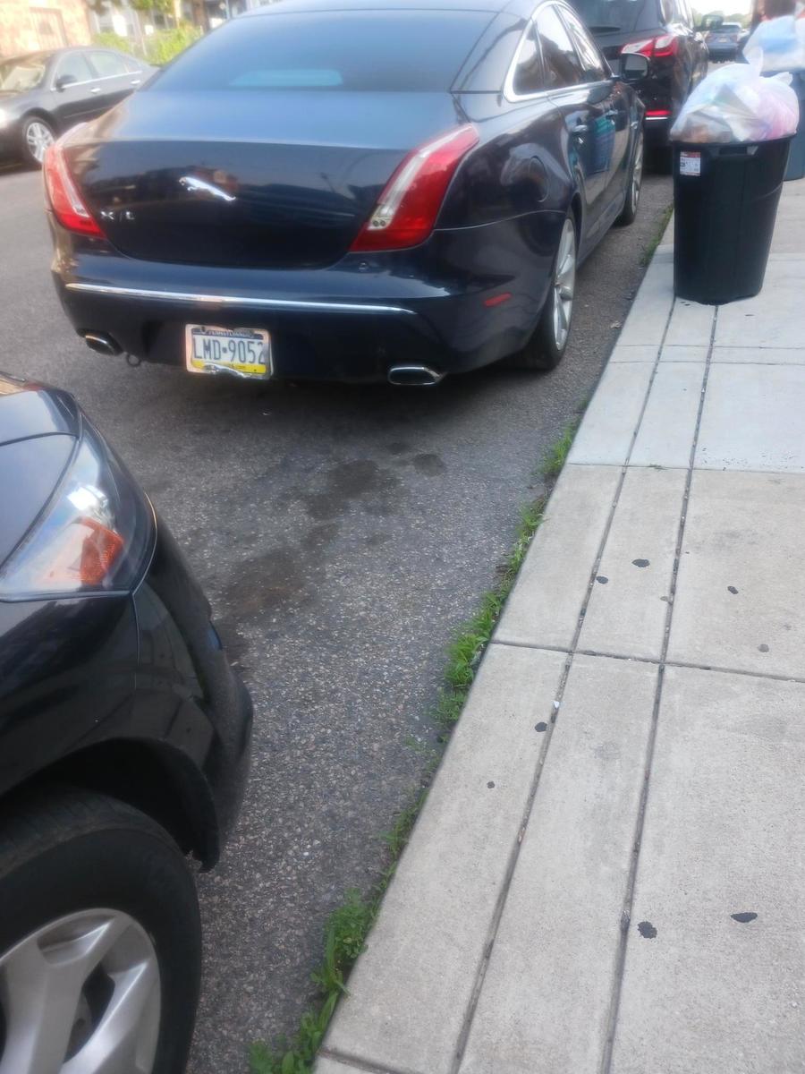 Photographic documentation of the work as submitted to the city's 311 record.