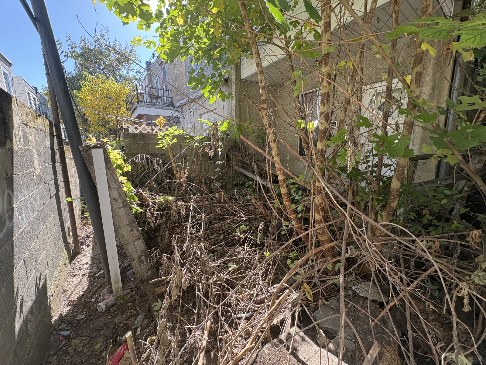 Photographic documentation of the work as submitted to the city's 311 record.