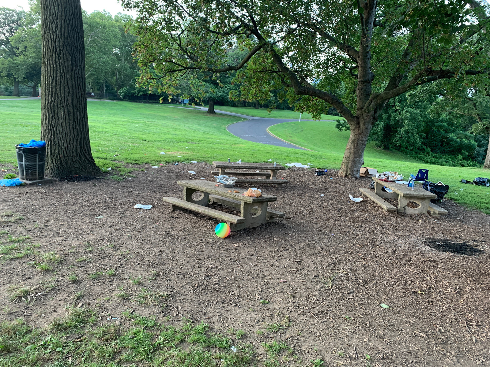 Photographic documentation of the work as submitted to the city's 311 record.