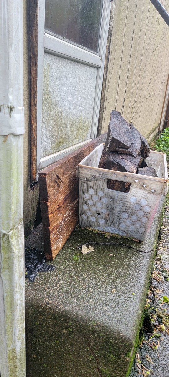 Photographic documentation of the work as submitted to the city's 311 record.