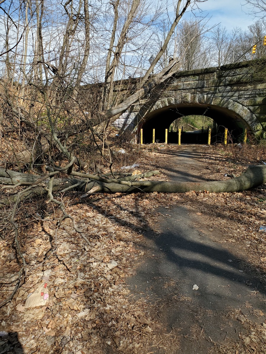 Photographic documentation of the work as submitted to the city's 311 record.
