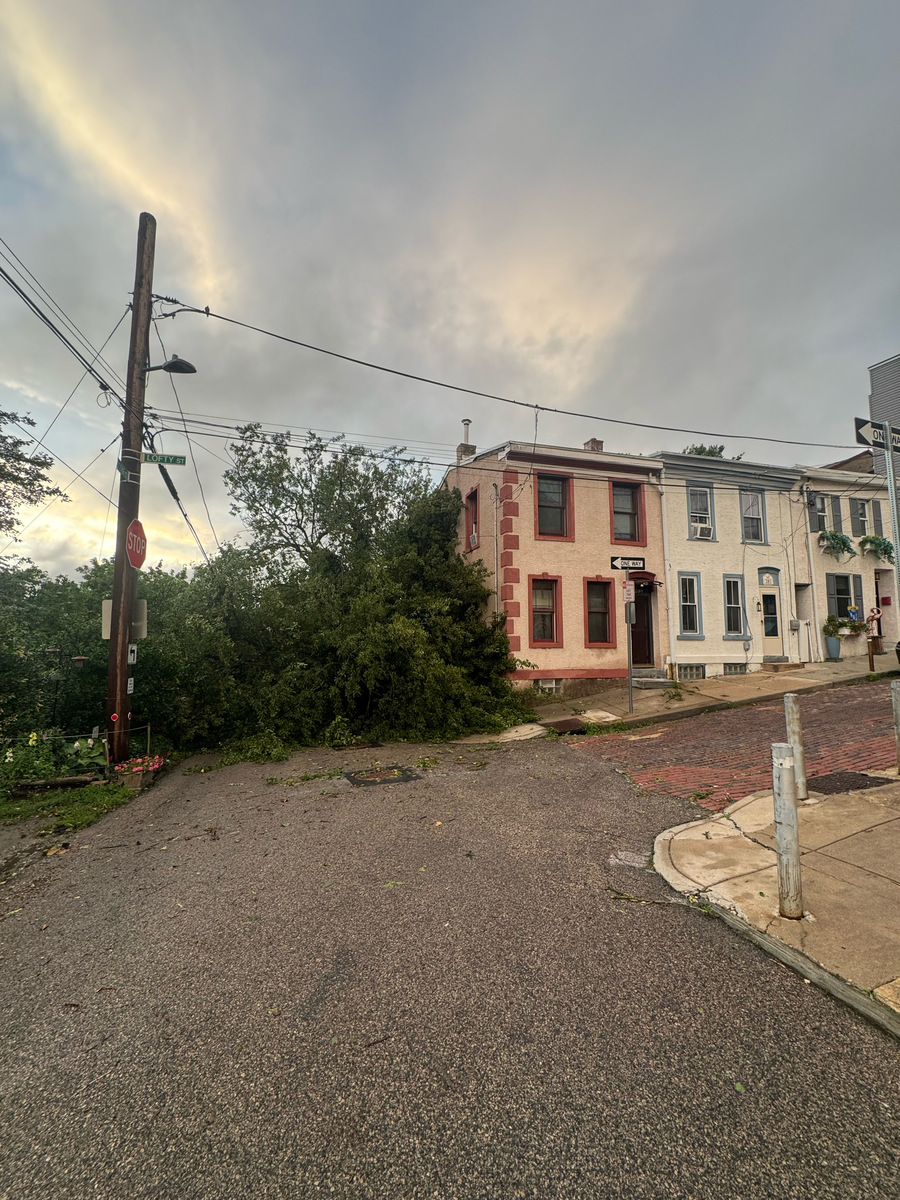 Photographic documentation of the work as submitted to the city's 311 record.