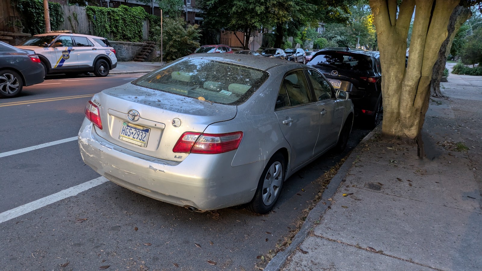 Photographic documentation of the work as submitted to the city's 311 record.