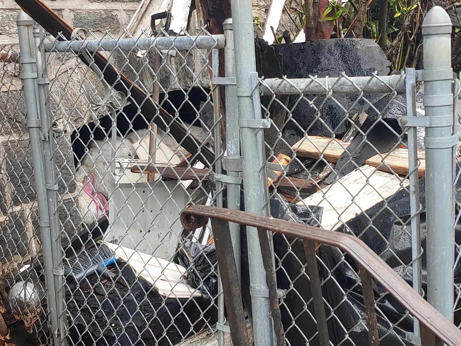 Photographic documentation of the work as submitted to the city's 311 record.