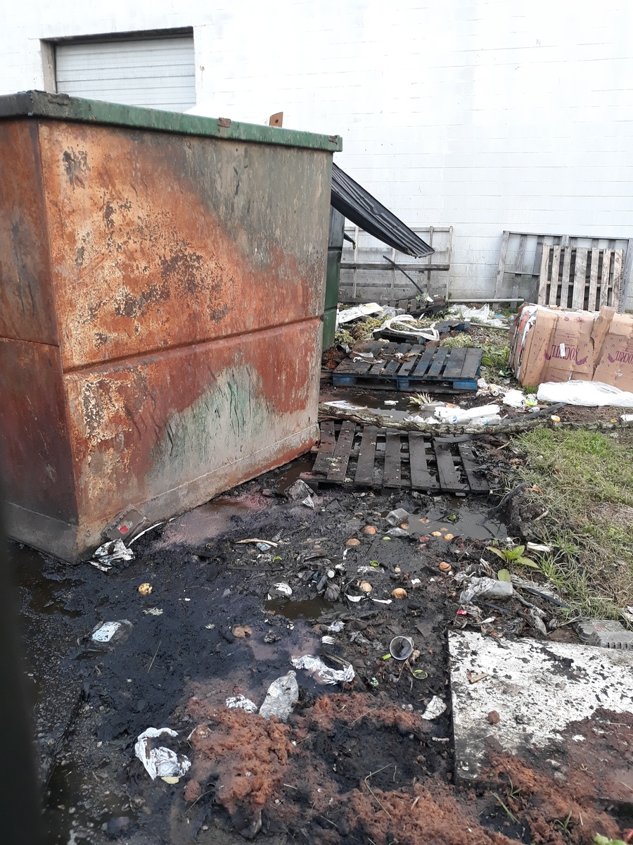 Photographic documentation of the work as submitted to the city's 311 record.