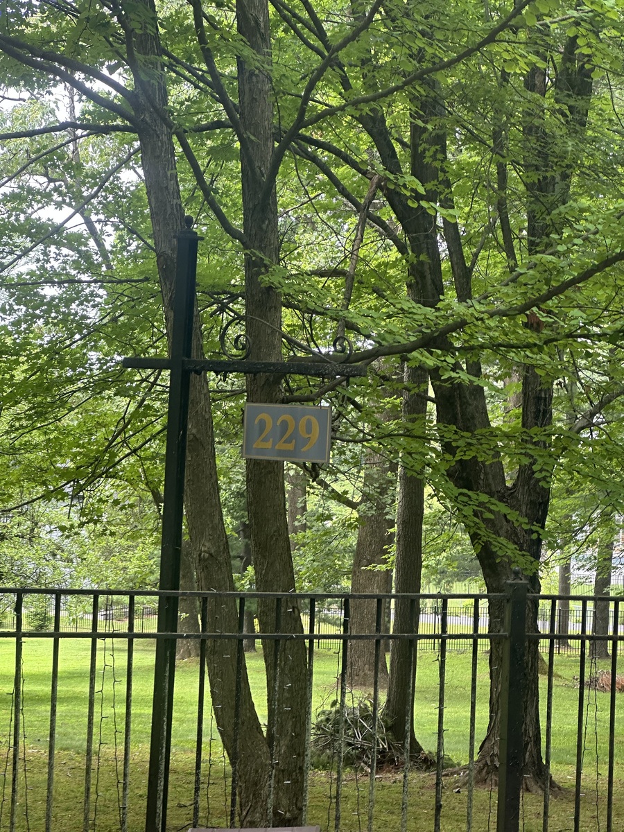 Photographic documentation of the work as submitted to the city's 311 record.
