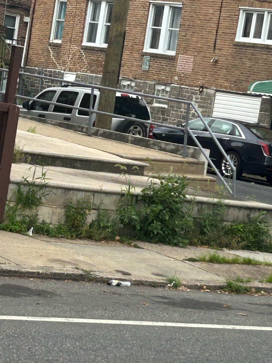 Photographic documentation of the work as submitted to the city's 311 record.