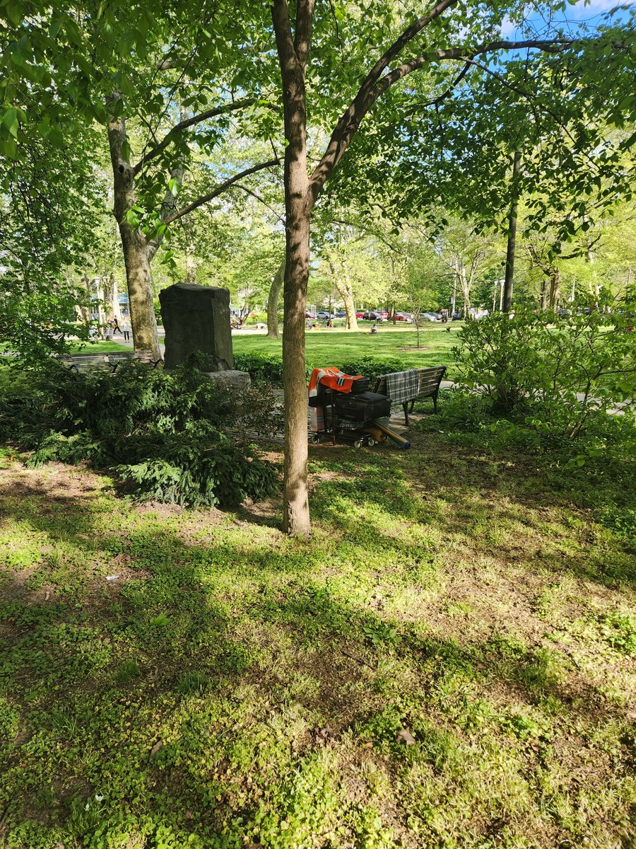 Photographic documentation of the work as submitted to the city's 311 record.