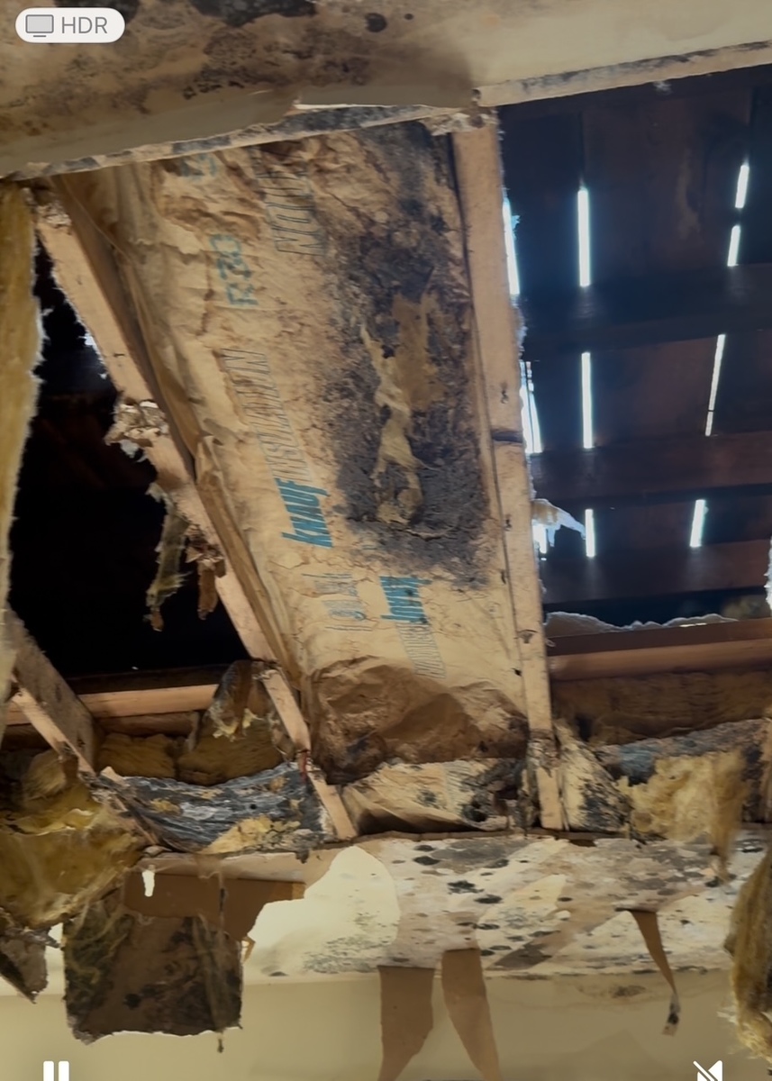 Photographic documentation of the work as submitted to the city's 311 record.