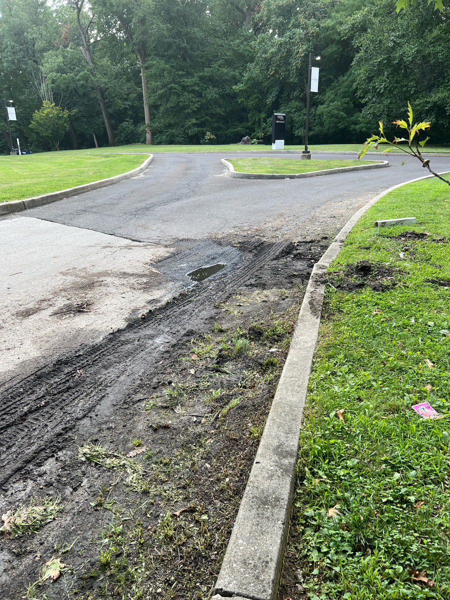 Photographic documentation of the work as submitted to the city's 311 record.