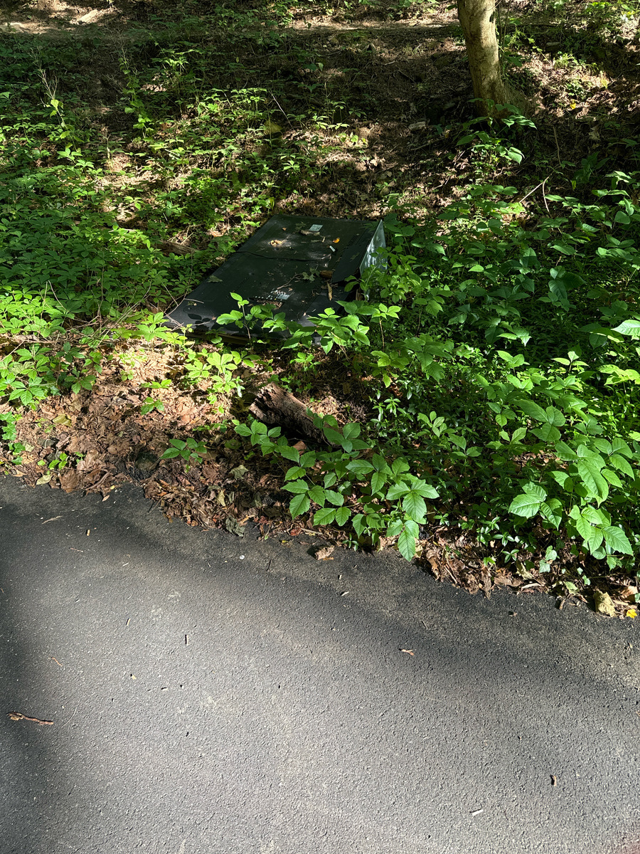 Photographic documentation of the work as submitted to the city's 311 record.