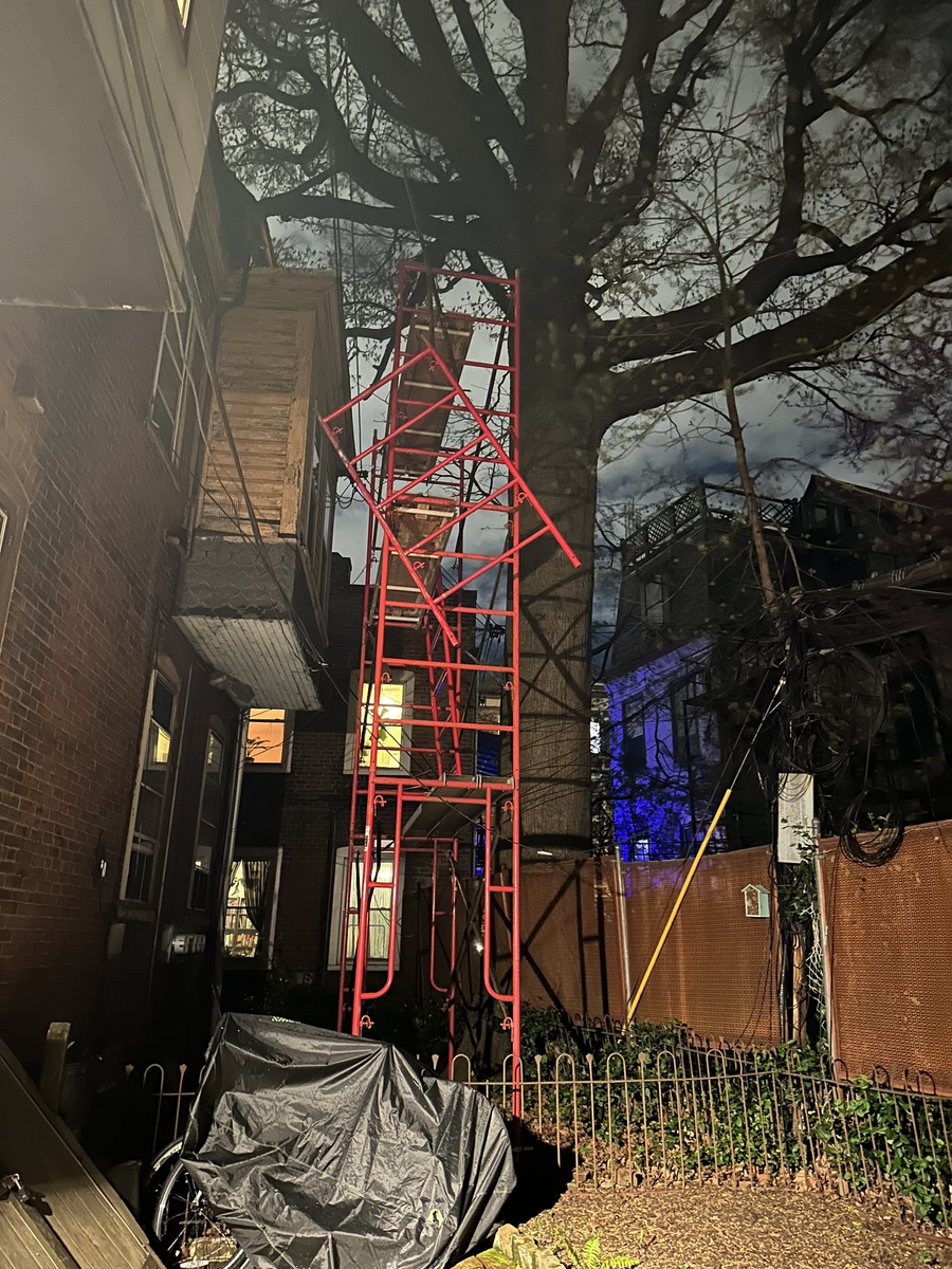 Photographic documentation of the work as submitted to the city's 311 record.